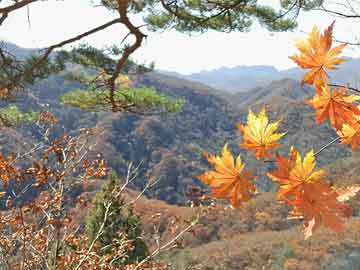 打胎药专卖微信方式强震过后 德雷克海峡余震频发