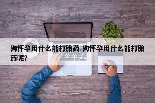 打胎药专卖微信方式狗怀孕用什么能打胎药.狗怀孕用什么能打胎药呢？