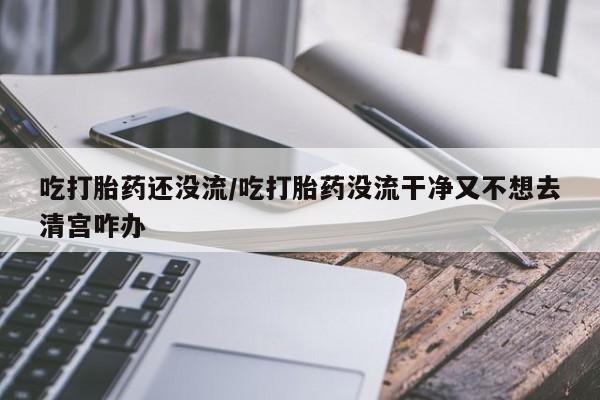 打胎药专卖微信方式吃打胎药还没流/吃打胎药没流干净又不想去清宫咋办