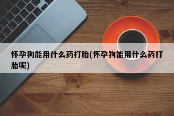 打胎药专卖微信方式怀孕狗能用什么药打胎(怀孕狗能用什么药打胎呢)